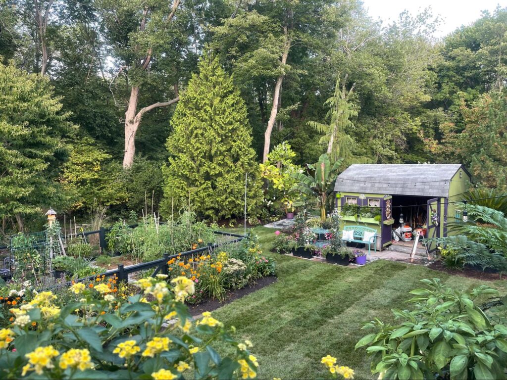 Garden to Table – The Importance of Having a Veggie Garden
