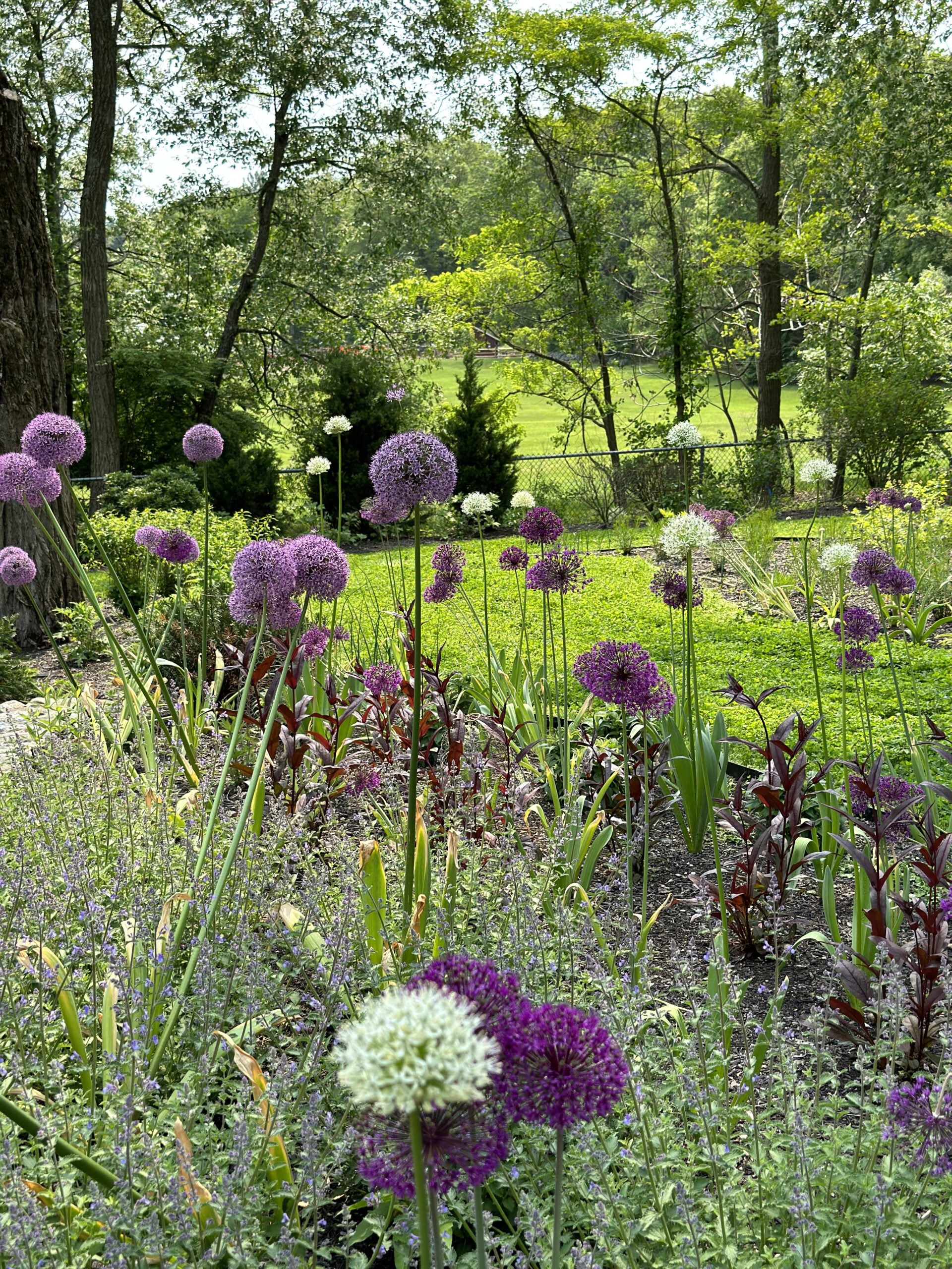Garden-Landscape-design-flowers