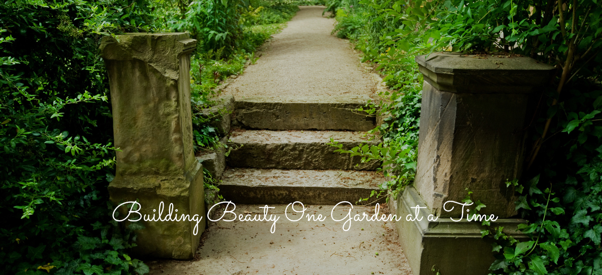 Samantha's Gardens Fall 2024 Newsletter