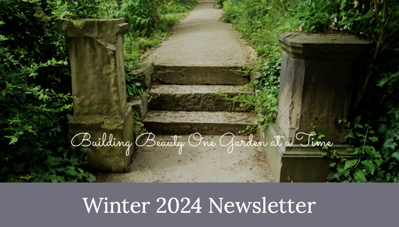 Winter-Newsletter-Blog-Post