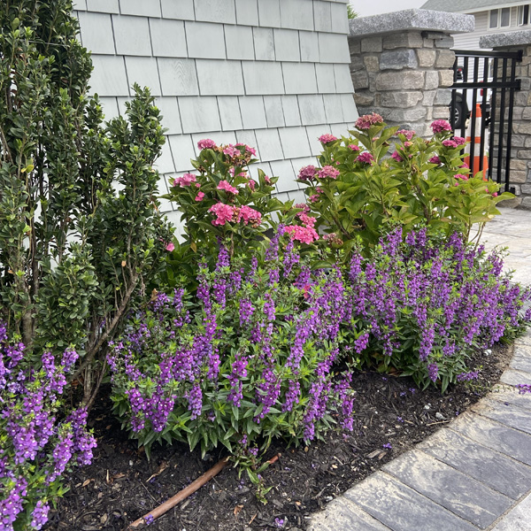 Garden-Landscape-Design-Seabrook-NH