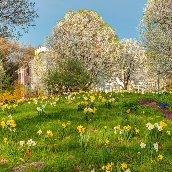 Garden-Landscape-Maintenance-Wayland-MA