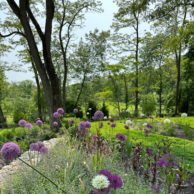 Garden-Mainenance-Andover-MA