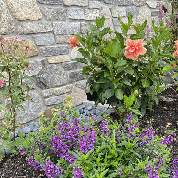 Garden-Maintenance-Seabrook-NH