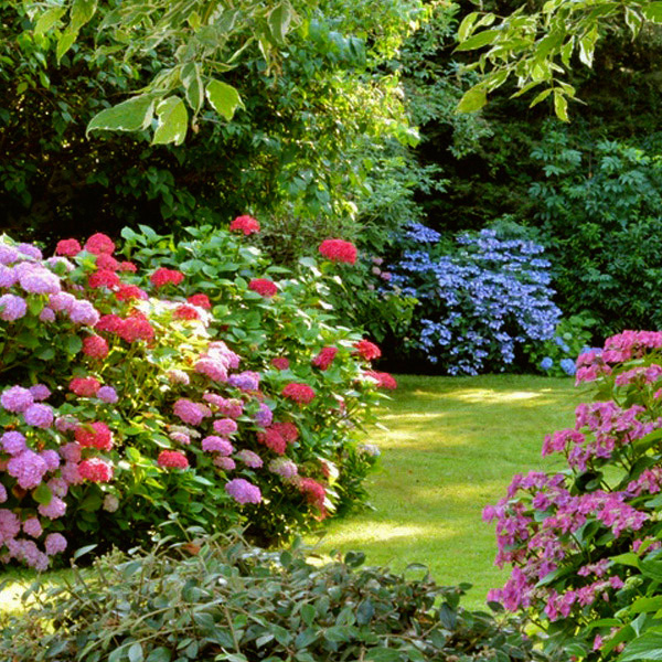 Landscape-Garden-Maintenance-Wellesley-MA