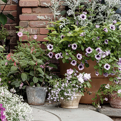 Seasonal-Gardening-Containers-Andover-MA