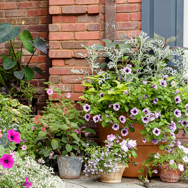 Seasonal-Gardening-Containers-Boston-MA