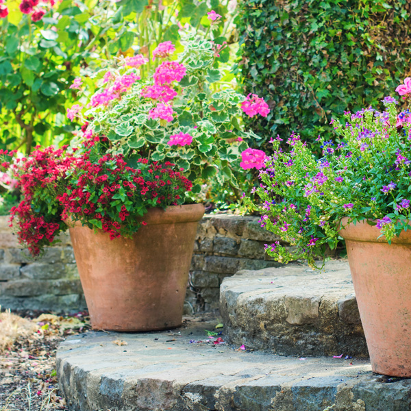 Seasonal-Gardening-and-Containers-Wellesley-MA