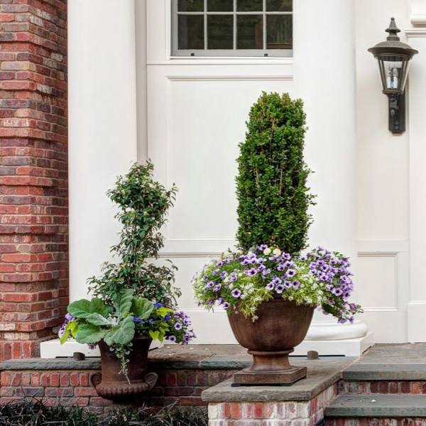 Seasonal-Gardening-containers-Weston-Ma