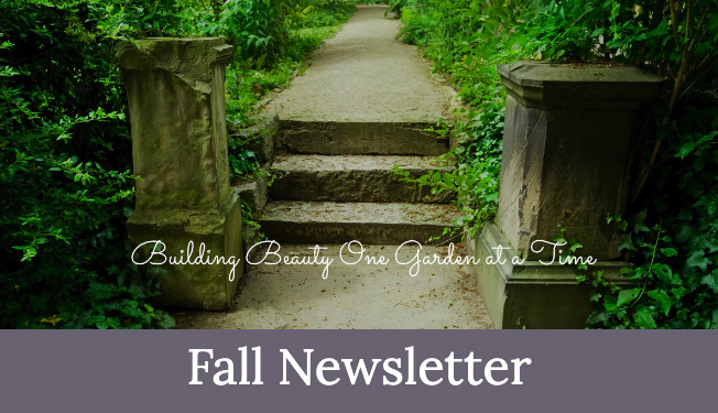 Fall Newsletter 2024