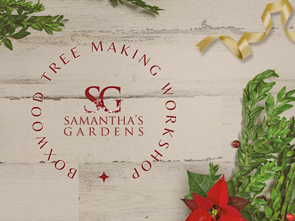 Samanthas-Gardens-Boxwood-Tree-Event