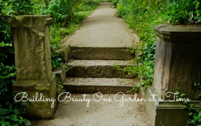 From Samantha’s Gardens to SG Botanicals—Our Late Summer Update